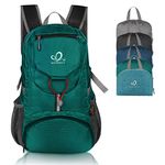 WATERFLY Foldable Travel Backpack Lightweight 20L Hiking Daypack for Outdoor Cycling Camping (Green)