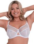Curvy Kate Womens Victory 4 Part Balcony Balconette Bra, White, 38DD UK