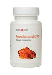 Myconutri Antrodia camphorata Mushroom Capsules 60 Veg caps