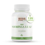 PRO Moringa Leaf Capsules - 120 CAPSULES | Moringa Leaf 1200mg per Serving | Base Pro Nutrition | 120 Vegetarian Capsules | Pro Moringa Leaf Powder | MORINGA