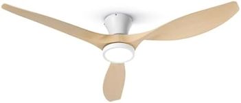 TALOYA 52 inch Ceiling Fans with Li