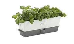 Cole & Mason H105349 Burwell Self-Watering Potted Herb Saver, Windowsill Planter Indoor/Herb Box/Herb Garden, Triple, Suitable for 3 pots (85 mm), Includes 12 x Pads, 2 Year Guarantee