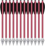 PMSM 6.3" Pistol Crossbow Bolts, Mini Aluminium Crossbow Bolts Arrows with Steel Broadhead Tips for 50-80lbs Pistol Crossbow Precision Target Practicing Shooting and Small Hunting Archery (12PCS Red)