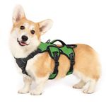 rabbitgoo Escape-Proof Dog Harness Small Dog with Handle, Anti-Pull Reflective Working Service Dog Harness, Breathable Pets Vest Puppy, Adjustable Lift Support Body Harness Outdoor, S, Green