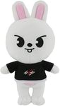 20 cm/8 "Kpop Stray Kids Character Soft Stuffed Plush Toy Bang Chan Hyunjin Felix Plush Doll Fans Gift (C)