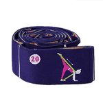 WowDude Hamstring Stretcher Device with Guiding Movements Embroidered on Leg Stretcher Band for Workout Leg Exercise Equipment Arm Bands Stretching Straps Elastic Exercise Band Stretch Straps , Yoga, Physical Therapy, Pilates-11 Loops- Purplish Blue