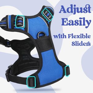 rabbitgoo Medium Dog Harness – No Pull, Adjustable, Reflective, Blue