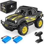 DoDoeleph Remote Control Jeep,16MPH