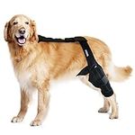 MerryMilo Dog Knee Brace Pet Supplies for Support with Cruciate Ligament Injury, Joint Pain and Muscle Sore, Adjustable Rear Leg Braces for Dogs, Color: Black, Size: L