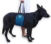 Large Blue Dog Lift Support Harness canine aid - Lifting Older K9 with handle for Injuries, Arthritis or Weak hind legs & Joints. Medium and Large breed Assist Sling for mobility & Rehabilitation.