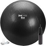 Everlast FIT Pro Grip Fitness Balls - 65cm - Burst-Resistant, Anti-Slip, Pump Included, Great for Balance, Home Workouts, Yoga. (Available in 55cm, 65cm and 75cm) (Black, 65cm)