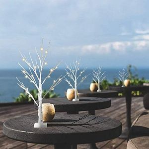 Eambrite 2ft Birch Twig Tree Lights – LED Decorative Tabletop