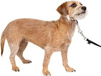 PetSafe Gentle Leader No-Pull Dog H