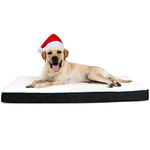 Memory Foam Dog Beds