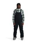 Spyder Men's Standard Terrain Insulated Ski Bib, Black