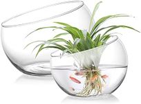 YOUEON 2 Pcs Glass Slant Cut Bowl Glass Vase, 6.5" W x 5.5" H, 5.2" W x 4.8" H Clear Glass Terrarium Bowl for Plants, Succulent, Air Plant, Candy Bowl, Fruit Bowl for Centerpiece, Wedding, Home Decor