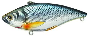 Koppers Shiner Trap Golden Sinking Lure, 1/4-Ounce, Silver/Blue Rattle