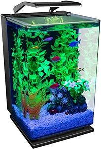 GloFish aq