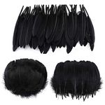 250 pcs Black Feathers for Crafts Goose Feathers DIY Dream Catchers Party Cake Halloween or Easter Decorations