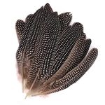 30 Pcs Natural Pheasant Feathers,DIY Pheasant Tails Feather,Soft Native Plume for Hair Hats Crafts Party Decoration Cosply Props,Natural Color