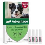 Advantage Spot On Flea Treatment For Large Dogs 10 - 25kg (4 pipettes, 250mg), Kills Fleas Within 24 Hours, Prevents Further Infestation For Up To Four Weeks
