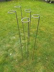 Metal Plant Supports Loop Stakes 5 pack 80cm, 100cm or 130cm tall (130cm)