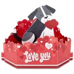 Hallmark Paper Wonder Musical & Motion Valentine's Day Card - 3D Cute Dog Design