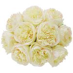 U'Artlines 2Bouquet 10Heads Artificial Peony Silk Flower Leaf Home Office Wedding Party Festival Bar Decor (Champagne)