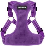 Voyager by Best Pet Supplies - Fully Adjustable Step-in Mesh Harness with Reflective 3M Piping - Purple (Matching Trim), Small