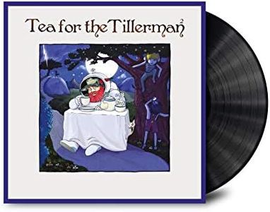 Tea For The Tillerman 2