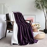 VOTOWN HOME Sherpa Fleece Blanket Queen Size, Comfy Fluffy Microfiber Solid Blankets for Bed and Sofa, Large Throw Blanket 220x240cm Purple