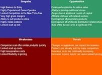 Big and Tall Store SWOT Analysis Pl