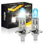 RDYCT H1 Halogen Bulb Super Bright Warm White H1 High and Low Beam Headlight or Fog Light Bulbs 12V 100W 5500K, Pack of 2