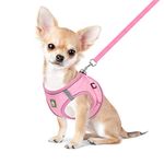 FEimaX Dog Harness and Leash Set, No-Pull Breathable Soft Mesh Puppy Vest Harness Reflective Adjustable Pet Harnesses for Small Medium Large Dogs and Cats - Outdoor Easy Control for Walking