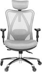 Duramont Ergonomic Office Chair - Adjustable High Back Desk Chair with Lumbar Support & Rollerblade Wheels - Breathable Mesh, Thick Seat Cushion, Headrest & Armrests - Reclining Executive Chair