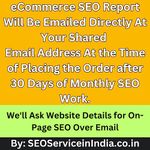 ECommerce SEO Services, ECommerce Website SEO Services, ECommerce SEO India, SEO for ECommerce Business Industry Website | Report Email Delivery After 30 Days of SEO Work - SEOServiceinIndia.co.in