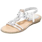 ZriEy Women's Open Toe Flat Sandals Dress Summer Sandals Non Slip Beach Sandal Shoes Elastic Ankle Strap Cute Comfortable Bohemia Flat Heel for Women, Silver D, 7.5