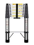 Nestling Telescopic Ladder 3.2m, Ladder Extendable Stainless Steel, Multi Purpose Ladder Portable, Adjustable Height, for Decorating, Painting, Garden, Wei: 10.5kg