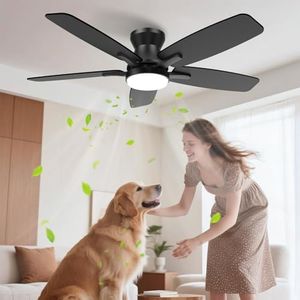 Low Profile Ceiling Fan with Light and Remote, Ventilateur Plafond Avec Lumiere, Ceiling Fans for Bedroom with Dual-Color Blade, 42 Inch Black/Brown Flush Mount Fan, Quiet, Dimmable, 3 CCT, 6 Speed