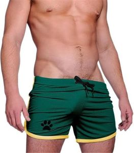 Men's Running Shorts Breathing Athletic Gym Mesh Shorts for Men Breathable Dog Paw Print Gym Workout Shorts,Green+Yellow-2XL