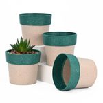 Eha Earth Friendly Ecopod Small Pots for Plant | 4 Inch, Pack of 4 | Table Top Planters | Bamboo Based and UV Protected | Pots for Indoor Plants for Home Decor, Outdoor, Balcony & Garden | Fern