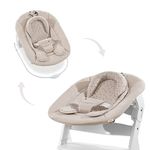 Hauck Alpha+ 2 in 1 Bouncer and Baby Rocker, Winnie the Pooh Beige - from Birth, Newborn Set, Compatible with Alpha Highchair, Click On