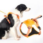 Sunkizzrs® All in ONE Dog Harness & Leash, Dog Harness Vest, Adjustable Harness Chest Body Belt for Dogs,with Retractable Leash and Handle and Reflective Strip (Medium, Orange)