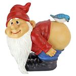 Design Toscano Loonie Moonie Bare Buttocks Garden Gnome Statue, Large 30.5 cm, Polyresin, Full Color