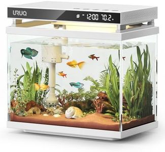 Fish Tank 