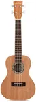 Cordoba 15CM Concert Ukulele - Hand