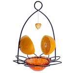 FORUP Oriole Bird Feeder, Orange Fruit Oriole Feeder