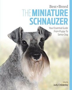 Miniature Schnauzer: Best of Breed