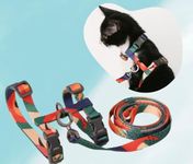 Petsafe-harness-for-dogs