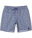 RVCA Barnes 17" Elastic Shorts (New Moody, Large)